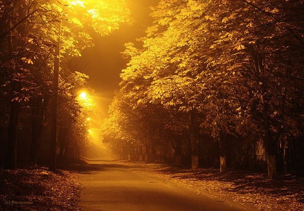 _ Маликовна