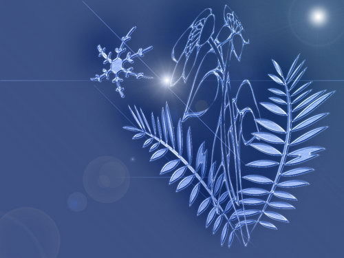 Зиля Нурмухаметова