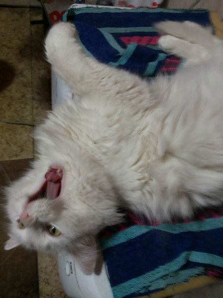 Игорь Рюмин