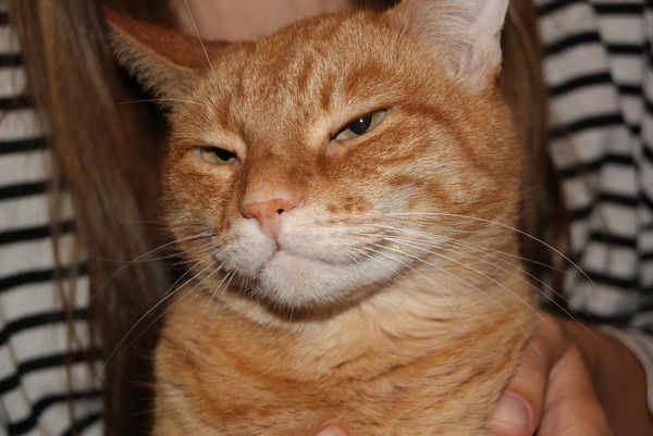 Елизавета Гиренок (Шлее)