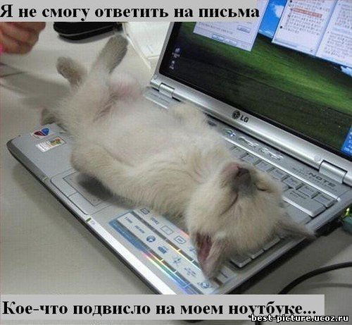 Александр Черников