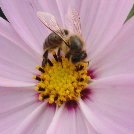 Людмила Киреева