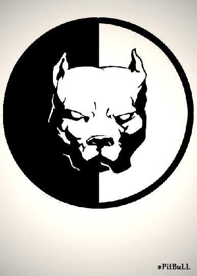 Дмитрий Евтюков