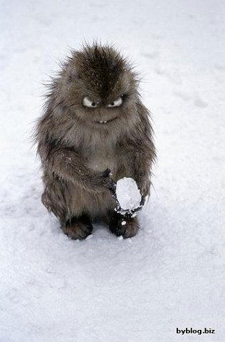 Андросова Нина