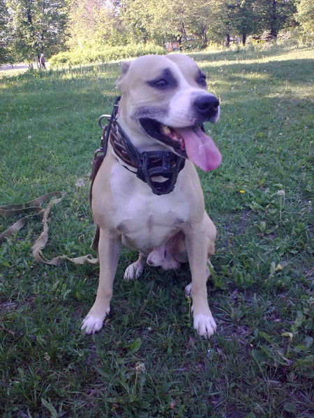 Оксана Ржевская