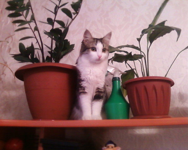 Артем Мартынов