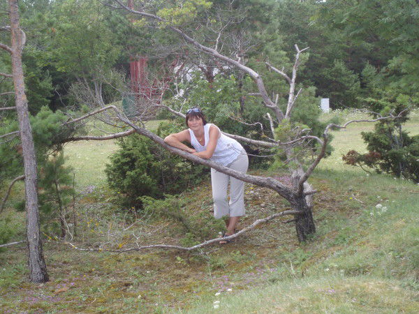 Елена Цветкова