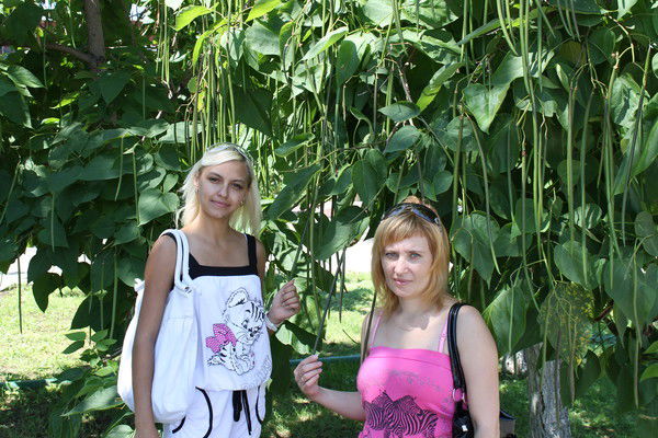 Елена Демченко