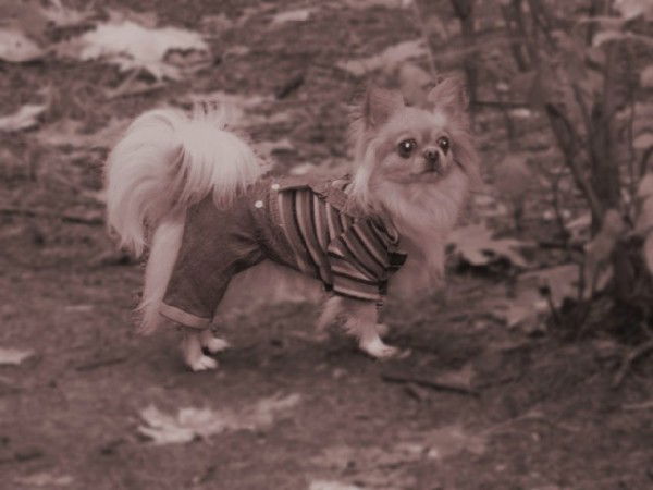 Марина Киселева