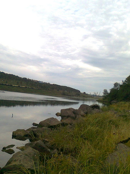 Наталья Голик