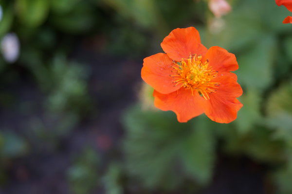 Татьяна Червякова