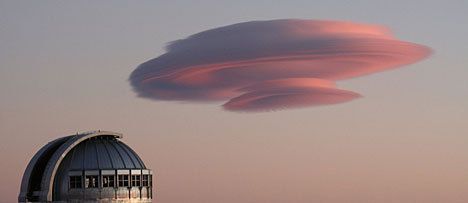 Ольга Богданова