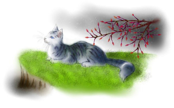 Мадина Мадаминова