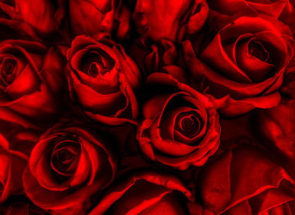 Лариса Мухамадеева