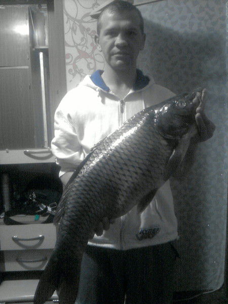 Неизвестно Неизвестно