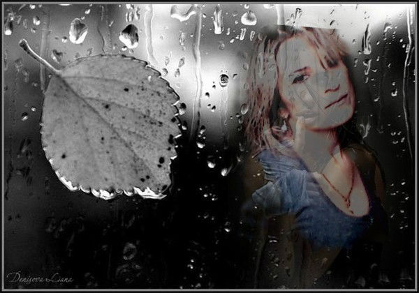 ***медузик ***