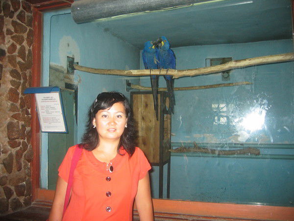 Клара Стакова