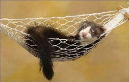 Наталья Погодина