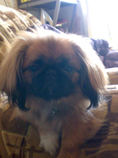 Татьяна Галанова