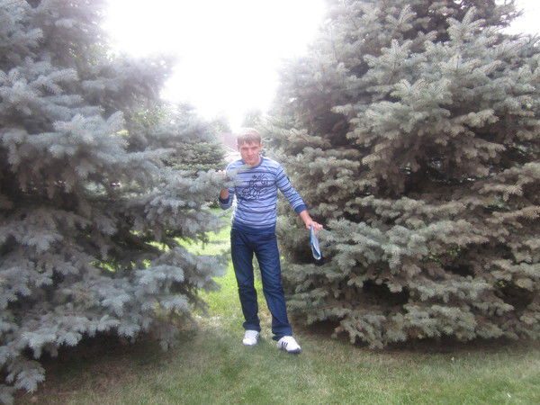 Александр Пономарев