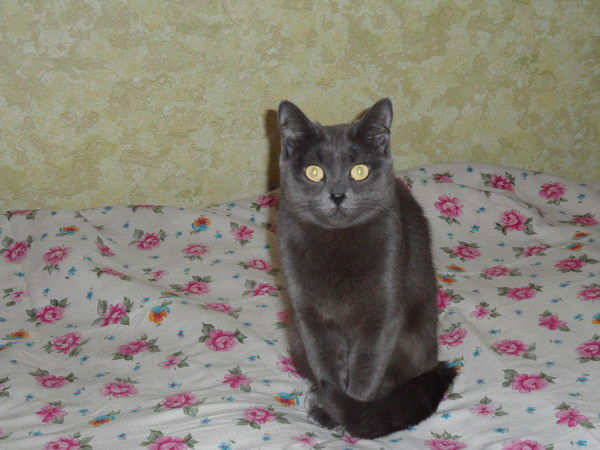 Борис Цыбиков