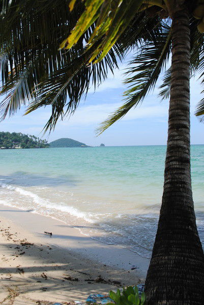 Марина Бурундукова