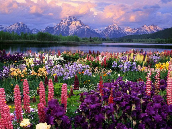 Светлана Салиева