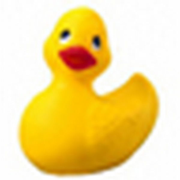 Ирина Ириша