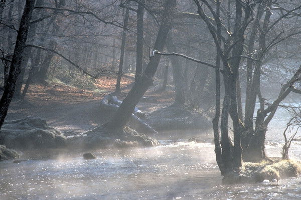 Гулим Мукушева