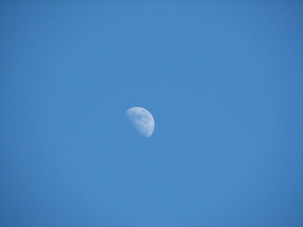 Рафаил Шакиров