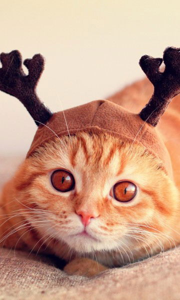 Пётр Землянов