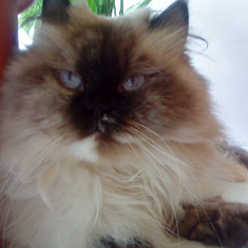 Наталья Тимухина