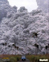 Алексей Ковалевский