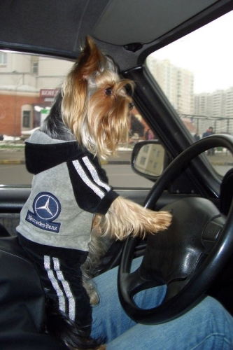 Игорь Святов