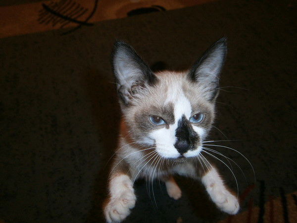 Ерлан Бикбусинов