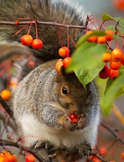 Анна Кузнецова