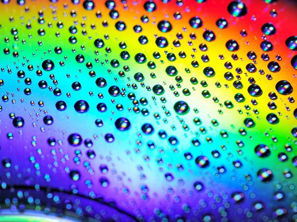 Анжелика Бурлина