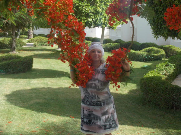 Светлана Николаева