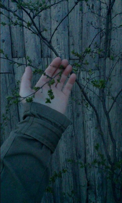 Анна Коробенюк