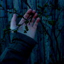 Анна Коробенюк