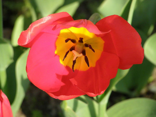 Неизвестно Неизвестно