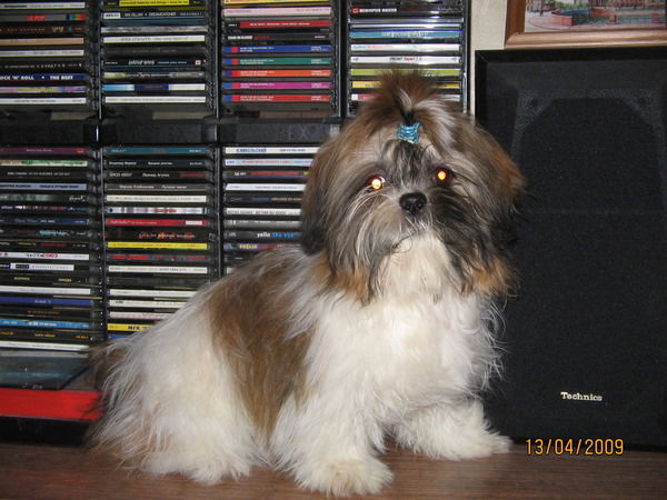 Ольга Чумарёва