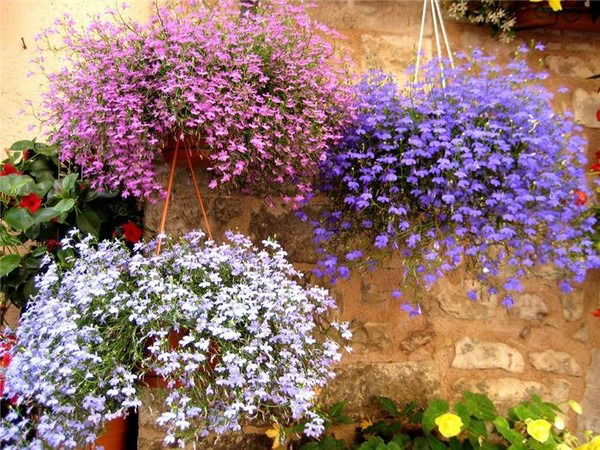 Ирина Романец