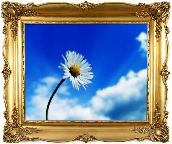 Ирина Пронина