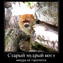 Олег Марулин