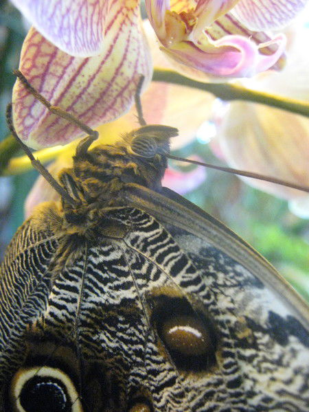 Светлана Нестерова