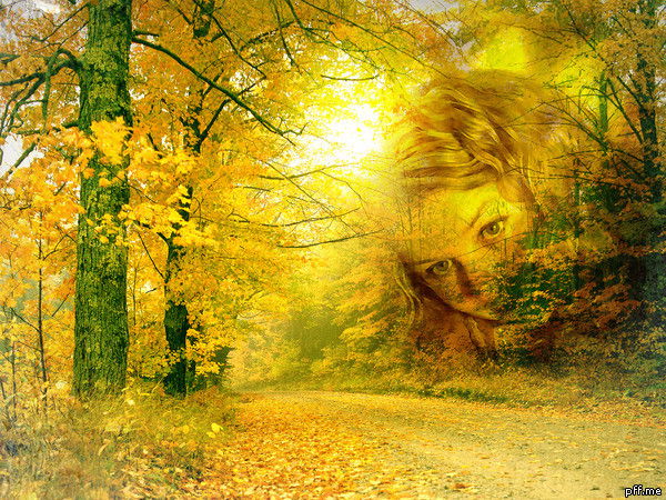 Ксения Федотова