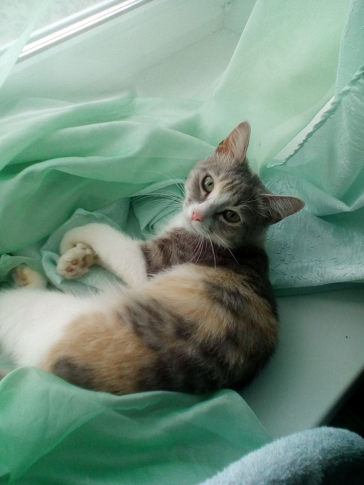 Любовь Яндыганова (Соловьёва)