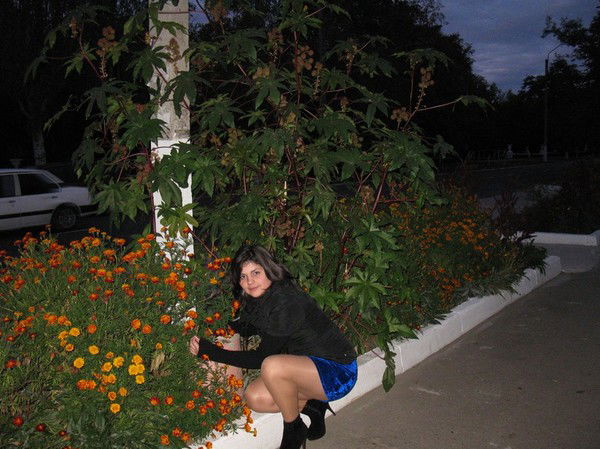 Марта Сапига