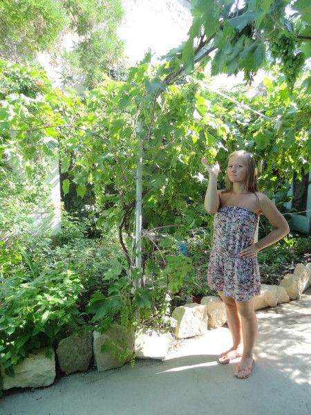 Кристинка Маркевич